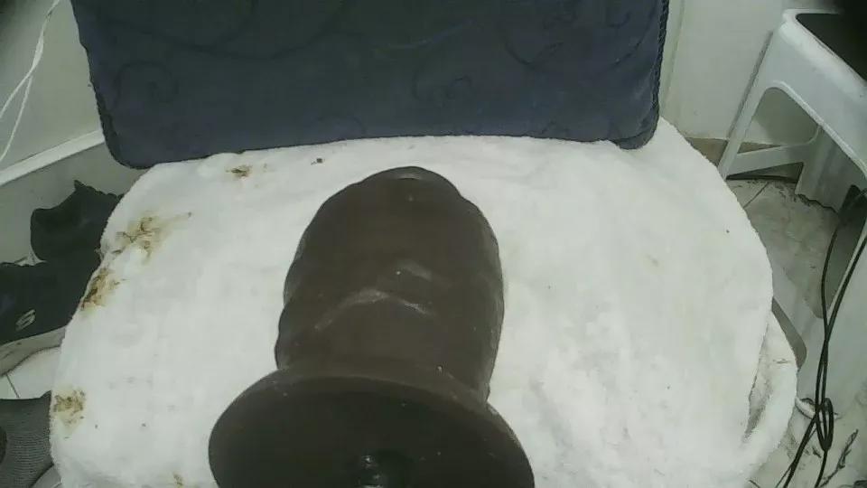 antares564 from Cam4