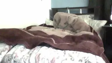 Offline Berimbau____ on Cam4