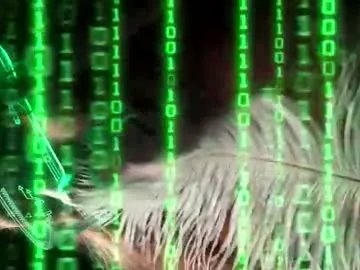 Freechat alvuwka on Chaturbate