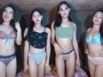 Try girls webcam shows. Sweet cute Free Performers.