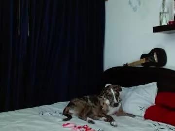 Try girls webcam shows. Sweet cute Free Performers.