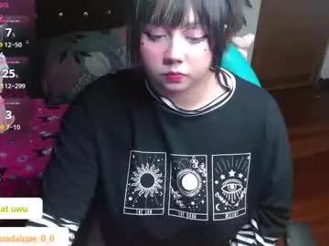 Try girls webcam shows. Sweet cute Free Performers.