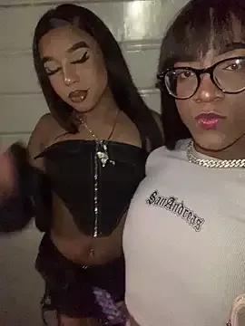 Try girls webcam shows. Sweet cute Free Performers.