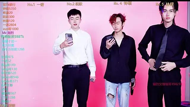 Boygayhouse from StripChat is Freechat