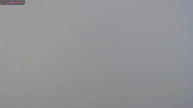 Camila_Torresss from StripChat is Freechat