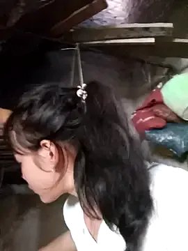 Freechat dorothyxx on StripChat