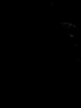 Group hello-cute on StripChat