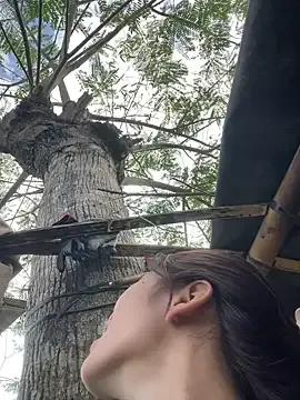 Group hi-hi-zz on StripChat