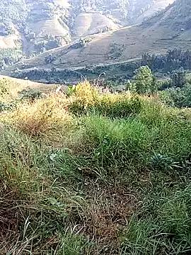 jerry-xx from StripChat is Freechat