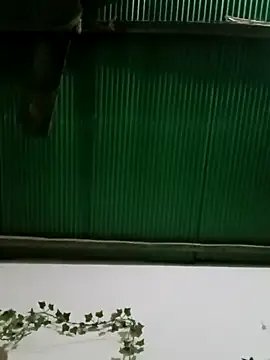 Jessica-03 from StripChat is Freechat