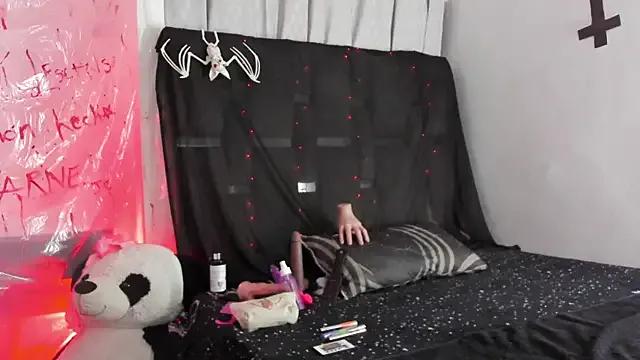 Try girls webcam shows. Sweet cute Free Performers.