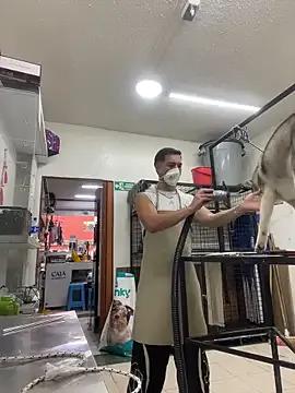 Leonardmoppet from StripChat is Freechat