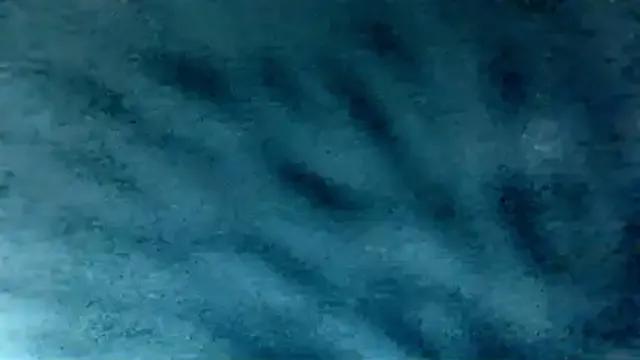 LilaniLoverx from StripChat is Freechat