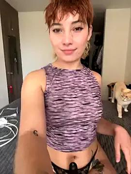 Try girls webcam shows. Sweet cute Free Performers.