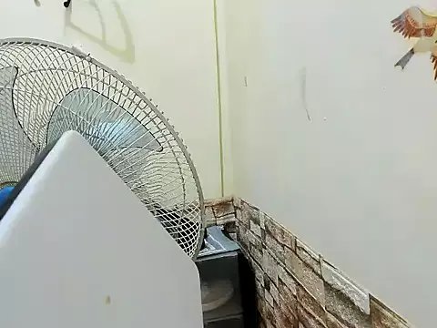 Freechat manilafoxts on StripChat