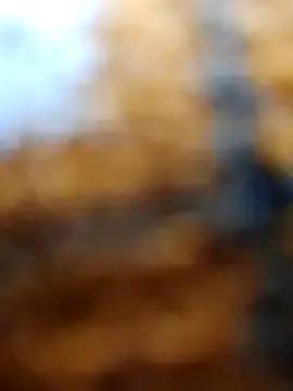 Rashili_jaan from StripChat