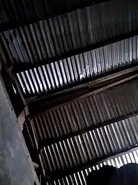 Freechat Sassy-jann on StripChat