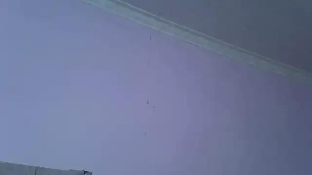 springbock56 from StripChat is Freechat