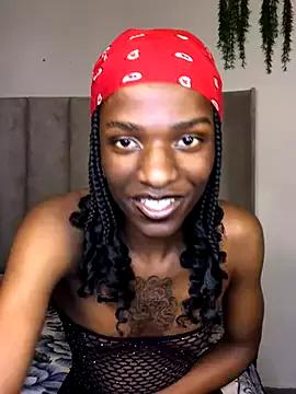Trans_fairy from StripChat is Freechat