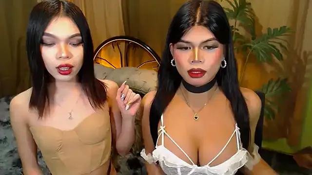 TWINKTRANSSHANEL from StripChat is Freechat